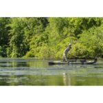 Hobie Mirage Outback Fishing Kayak – Demo Model - Image 7